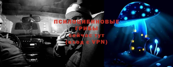 индика Новокубанск