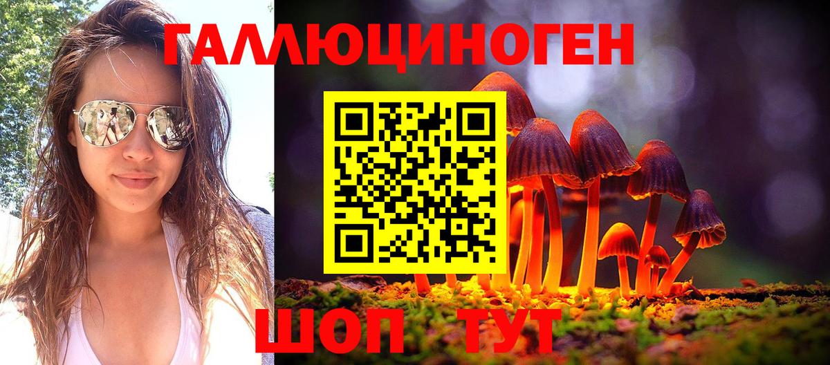 Псилоцибиновые грибы Cubensis  Вход с VPN  Барнаул 