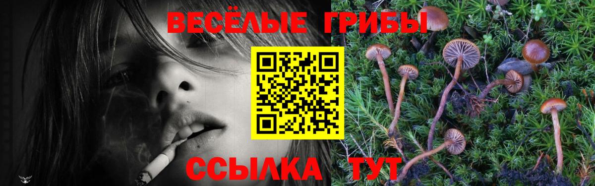 Галлюциногенные грибы мицелий Барнаул