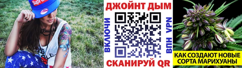 Шишки марихуана SATIVA & INDICA  купить закладку  Барнаул 